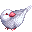 白ブンチョウ1