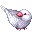 白ブンチョウ2
