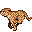 チーター