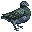 はと