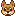 犬の顔