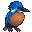 カワセミ 右向き