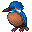 カワセミ 左向き