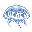 クラゲ