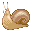 カタツムリ