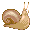 カタツムリ